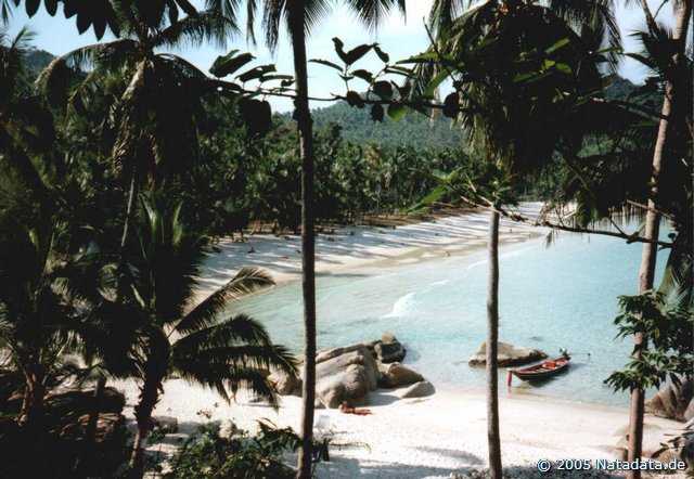 Thongnaipan Noi (keep it as ist was!)